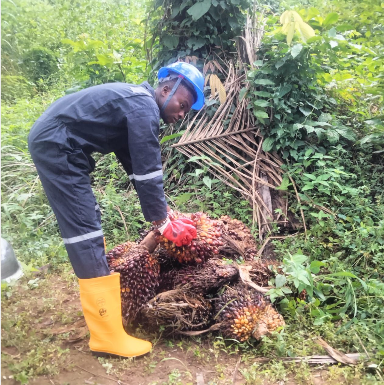 Processing equipment inside refinery